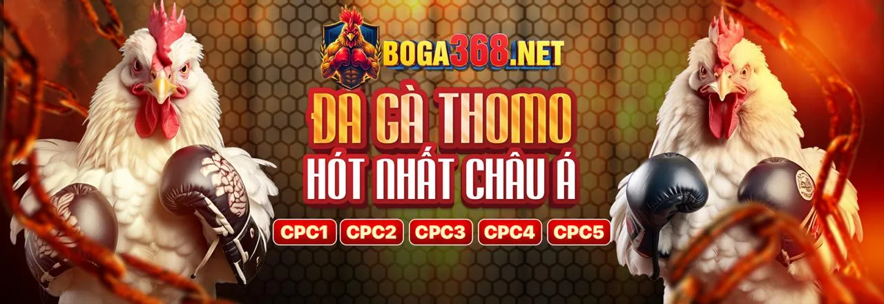 Tải ae6789 App Chính Thức